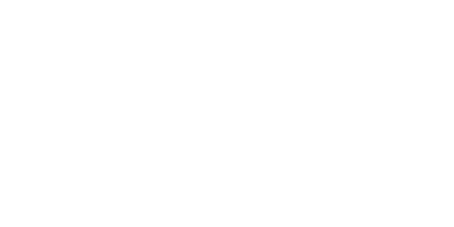 Evyap logo